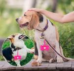 Bone Shaped Poop Bag Dispenser with Waste Bags