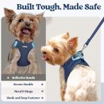 Rabbitgoo Small Dog Harness and Leash Set