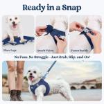 Rabbitgoo Small Dog Harness and Leash Set
