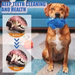 Plush Squeaky Dog Toy for Fun Playtime