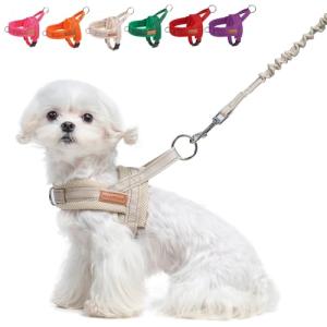 No Pull Dog Harness and Leash Set for Small Dogs