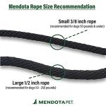 Mendota Pet Braided Dog Leash - Black Ice Turquoise