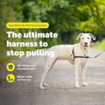 PetSafe Easy Walk No Pull Dog Harness