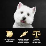 Cesar Small Breed Dry Dog Food, Porterhouse Flavor