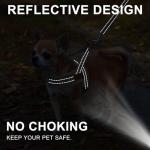 No Pull Dog Harness and Leash Set for Small Dogs
