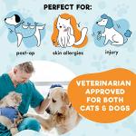 Inflatable Dog Cone Collar for Recovery - Medium Blue
