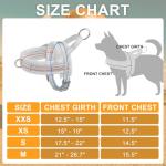 No Pull Dog Harness and Leash Set for Small Dogs
