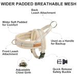 No Pull Dog Harness and Leash Set for Small Dogs