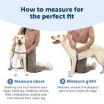 PetSafe Easy Walk No Pull Dog Harness