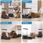 Automatic Dog Water Dispenser and Food Feeder Set