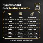 Cesar Small Breed Dry Dog Food, Porterhouse Flavor