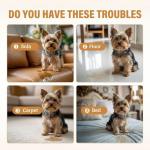 Potty Training Spray for Dogs with Pheromones