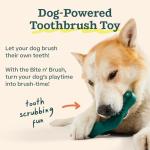 WOOF Rechargeable Bite n' Brush Dog Tooth Toy