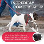 No Pull Dog Harness and Leash Set for All Sizes