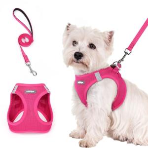 rabbitgoo Small Dog Harness and Leash Set