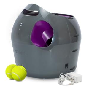 PetSafe Automatic Ball Launcher for Fun Fetch