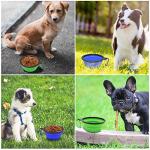Collapsible Dog Bowls 2-Pack, Portable and Travel-Friendly