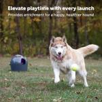 PetSafe Automatic Ball Launcher for Fun Fetch