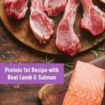 Wellness Puppy Treats, Natural, Training Treat, Grain Free, Soft Lamb & Salmon (3 Ounce Bag)