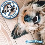 DreamBone Dental Chews, Rawhide-Free Chews for Dogs, Maintain Fresh Breath and Clean Healthy Teeth
