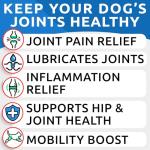 Hemp Hip & Joint Supplement for Dogs - Glucosamine for Dogs - Dog Joint Pain Relief Treats - Chondroitin, MSM - Mobility & Flexibility Support - Advanced Joint Care & Health - Made in USA (120Ct)