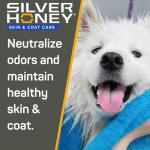 Silver Honey Nourish & Soothe Shampoo 16 fl oz, Dog & Cat Skin & Coat Care, Natural Manuka Honey + MicroSilver BG + Odor Neutralizer, Pump Bottle