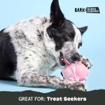 Barkbox Hambone Super Chewer Tough Dog Chew Toy for Aggressive Chewers, Plush Cover with Rubber Core - 2 Toys in 1 – Two Layer Treat Dispensing Dog Toy for Large Dogs