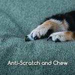 Hollypet Orthopedic Rectangle Dog Bed for Large Dogs, Supportive Egg-Crate Foam Pet Beds with Removable Washable Waterproof Cover and Non-Slip Bottom, Green, 38" L x 29" W x 8.5" Th