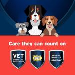 Pet Protect Dog Hip & Joint Supplement for Occasional Joint Stiffness, Vet-Formulated Synovi G3, Dog Glucosamine, Chicken-Flavored Soft Chews (120 Count)