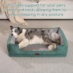 Hollypet Orthopedic Rectangle Dog Bed for Large Dogs, Supportive Egg-Crate Foam Pet Beds with Removable Washable Waterproof Cover and Non-Slip Bottom, Green, 38" L x 29" W x 8.5" Th