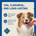 Blue Buffalo Dental Bones Mini Natural Dental Chew Dog Treats Bag Value Pack