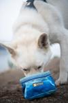 Ruffwear, Quencher Collapsible Dog Bowl, Packable Food & Water Bowl with Waterproof Lining, Water-Resistant Shell, & Reflective Trim, Lightweight, 4.2 Cups (1 L), Spring Mountains, Medium