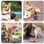 PetBonus 2-Pack Silicone Collapsible Dog Bowls, BPA Free Dishwasher Safe, Portable Foldable Expandable Travel Bowl, Food Water Feeding Cup Dish for Dogs Cats with 2 Carabiners (Army Green, Navy Blue)