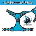 NESTROAD No Pull Dog Vest Harness with Leash, Adjustable Reflective Oxford Pet Harness with Easy Control Handle for Small Dogs, Blue