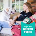 Cloud Star Wag More Bark Less Crunchy Dental Dog Treats, Chicken, Bone Charcoal, Parsley & Mint, 14 oz. Box