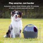 PetSafe Automatic Ball Launcher for Fun Fetch