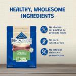 Blue Buffalo Dental Bones Mini Natural Dental Chew Dog Treats Bag Value Pack