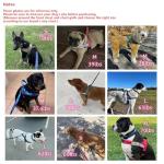 Annchwool No Pull Dog Harness with Padded Handle+5 Ft Leash,Escape Proof and Quick Fit to Adjust Dog Harness,Easy for Training Walking for Small & Medium and Large Dogs(Camo Purple Set,L)