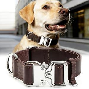 Brown Leather Dog Collar with Quick-Release Buckle