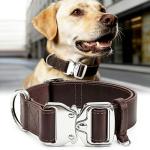 Brown Leather Dog Collar with Quick-Release Buckle