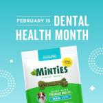 Minties Mint-Flavored Dental Chews for Dogs