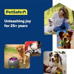 PetSafe Automatic Ball Launcher for Fun Fetch