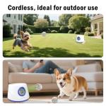 Automatic Ball Launcher for Small and Medium Dogs