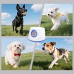 Automatic Ball Launcher for Small and Medium Dogs
