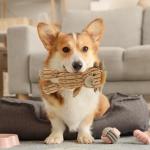 Linzy Plush Highland Cow Squeaky Dog Toy