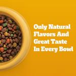 Pedigree Adult Dry Dog Food, Chicken & Veggie