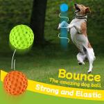 Indestructible Squeaky Dog Balls for Aggressive Chewers