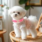 Pink Checkerboard Dog Collar for All Sizes