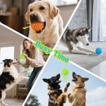 Indestructible Squeaky Dog Balls for Aggressive Chewers