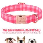 Pink Checkerboard Dog Collar for All Sizes